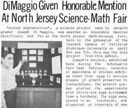 Joe DiMaggio's
Science Project